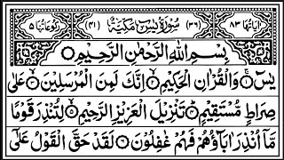 Ep 430 Surah Yaseen  Full With Arabic 🕋 By Qari Abdur Raheem Best Tilawat 🕌 [upl. by Eletnahc]