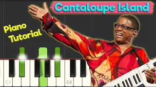 Herbie Hancock  Cantaloupe Island  Jazz Piano Tutorial [upl. by Pulcheria]