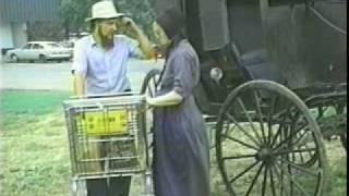 REAL AMISH INTERVIEWS Not Reality Show or Scripted Very rare to get [upl. by Rambow778]