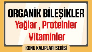 Organik Bileşikler  Yağlar  Proteinler ve Vitaminler [upl. by Omocaig]