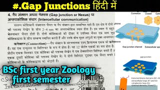 Gap junction in Hindi  Cellcell interaction  BSc first year zoology first Semester [upl. by Eidak733]