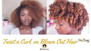 Twist n Curl on Blown Out Hair  Soultanicals [upl. by Norrej]