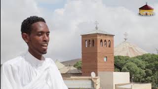 NEW ERITREAN ORTHODOX TEWAHDO MEZMUR  APRIL  2018  TAMKI  ጣዕምኺ  ዘማሪ  Dberhane HAILE SLASIE [upl. by Anived422]