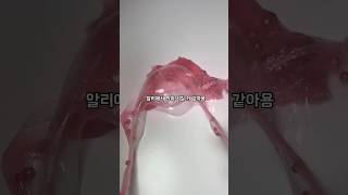 슬라임 만들기 asmr aesthetic satisfying slime slimeasmr shorts diy 쇼츠 슬라임 슬라임asmr 만들기 만드는법 [upl. by Auod]