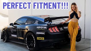 Best Mustang FITMENT [upl. by Dallon]