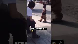 Scrappy Doo fyp viral trending funnyvideos funny shortsfunny [upl. by Acinnad468]