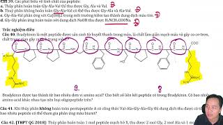 Bradykinin là một peptide được sản sinh từ huyết thanh trong máu là chất làm giãn mạch máu và gây [upl. by Sitruk726]