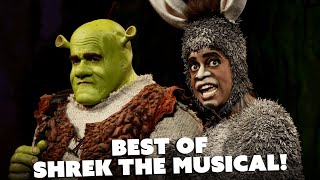 Best of Shrek The Musical ft Sutton Foster amp Brian dArcy James  TUNE [upl. by Mosa]