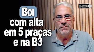 Boi abre semana com alta em 5 praças pecuárias e na B3 com recomposição dos preços dos bezerros [upl. by Kola773]