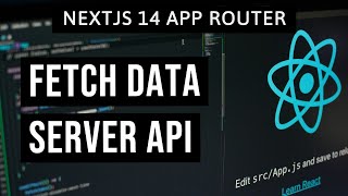 NextJS 14  How to FETCH DATA SERVER API Routes [upl. by Imaon384]