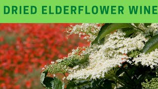 Dried Elderflower wine recipe and method [upl. by Apurk]