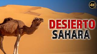 ¡EL DESIERTO DEL SAHARA LOS MISTERIOS DEL SAHARA  Documentales Completos en Español [upl. by Maribeth233]