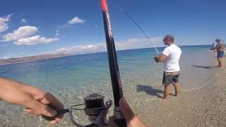 Tonni Alletterati da riva  Tuna fishing from beach [upl. by Ennaeerb]