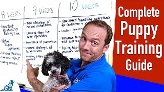 Your Complete Puppy Training Schedule By Age [upl. by Ahtinak]