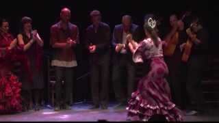 Clarisa Di Salvo  Baile Flamenco [upl. by Anoek]