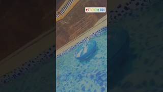 Froggyland pool in Goa best swimming pool with all activities pool goa swimmingpool yt shorts [upl. by Shamus]