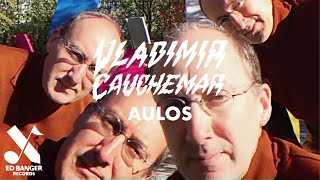 Vladimir Cauchemar  Aulos Official Music Video [upl. by Ruon908]