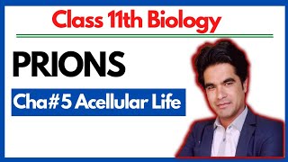 PRIONS  Spongiform encephalopathy  Cha 5 class 11 biology [upl. by Cyndi]