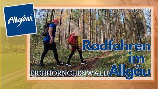 Radfahren im Allgäu Eichhörnchenwald [upl. by Mahau]