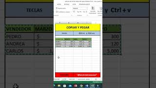 Cómo Copiar Y Pegar en Excel [upl. by Egrog]