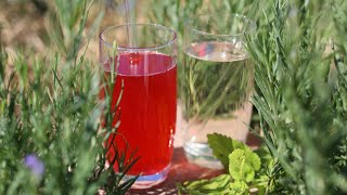 Zitronenmelissen und HibiskusLimonade [upl. by Schuster]