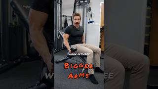 Build bigger arms with these bicep exercises biceps biggerarms bodybuilding bicepworkout [upl. by Rivard]