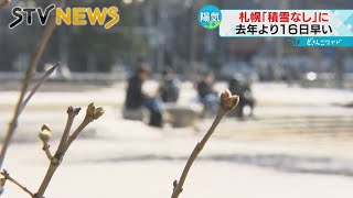 北海道は春の陽気 札幌では「積雪なし」に ４月中旬から下旬並みで今シーズン最も高い気温 [upl. by Inaleon]