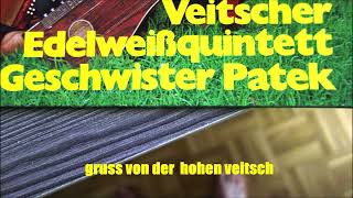 veitscher edelweißquintett und die geschwister patek gruss von der hohen veitsch [upl. by Ennovihs]