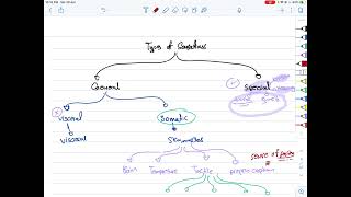 Physiology 2 Pharma  CNS 3 [upl. by Ahsimat]