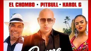 Pitbull  Dame Tu Cosita Radio Version [upl. by Eetnuahs]