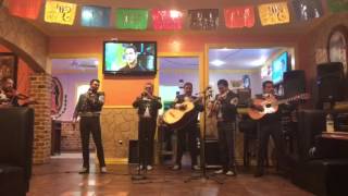 Mariachi Estampas de México dallas [upl. by Dot652]