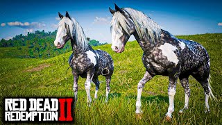 PEGANDO 2 MISSOURI FOX TROTTER COM O ARTHUR DE 2 MANEIRAS DIFERENTES  RED DEAD REDEMPTION 2 [upl. by Nottage]