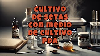 Cultivo de setas con medio de cultivo PDA 1 [upl. by Hibbs979]