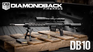 Diamondback DB10 in 65 Creedmoor AR10 First Impressions [upl. by Notled]