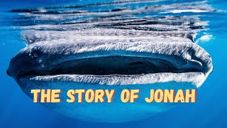 Jonah  Bible Stories [upl. by Ornstead]