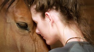 The 24 Behaviors of the Ridden Horse in Pain Shifting the Paradigm of How We See Lameness [upl. by Cohin]