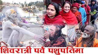 Shivratri  साधु नागाबाबा र शिवरात्री पर्व पशुपतिमा  Pashupatinath Temple Nepal  Lord Shiva [upl. by Aihsotan130]