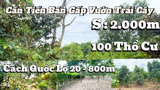 Cần Tiền Bán Gấp Để Lo Chữa Bệnh  Bán Gấp Giá Nào Cũng Bán [upl. by Dexter]