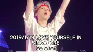 D484 2019119 LOVE YOURSELF IN SINGAPORE So What [upl. by Ellehsar616]