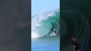 play with the waves  surf extreme sports sports extreme surf amazing trending sea [upl. by Myron946]