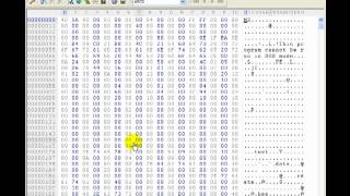 Reverse Engineering 101  Using A Hex Editor To Find Passwords [upl. by Anelyak]