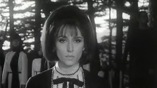 Ya Zahrat alMadain English Translation – Rare Music Video 1967 – Fairuz Song for Palestine [upl. by Stig]