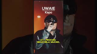 Uwaie  Kapo  Letra de su nueva canción dancehall vibes yosoytukapo musica lyrics lirycvideo [upl. by Asecnarf845]