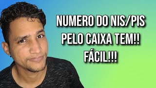 Como tirar o extrato do PISNIS ativo pelo Caixa Tem sem sair de casa e pelo celular [upl. by Assirahc220]