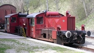 Köfs Leistungsgruppe II Die Kleinlokomotiven der Reichsbahn  Fotodokumentation [upl. by Trista]