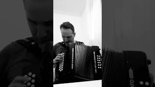 🪗 Matilde Lina  Leandro Diaz  Intro vallenato matildelina acordeon hohner Colombia [upl. by Eenimod]