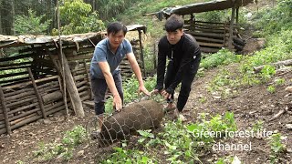 Robert takes care of cantaloupe and sells pigs Robert  Green forest life ep302 [upl. by Donoho595]