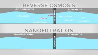 CamelTrain Reverse Osmosis vs Nanofiltration [upl. by Nomolos715]