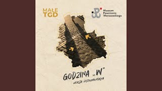 Godzina W Wersja Instrumentalna [upl. by Nerek788]