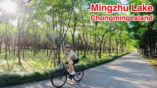 Cycling Shanghai  Mingzhu Lake on Chongming Island [upl. by Oijres604]